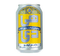 دلستر ایرانی